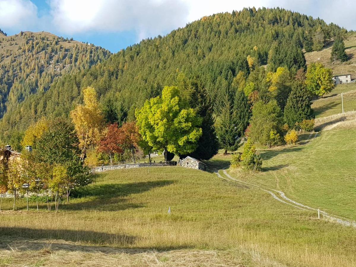 Апартаменты Ca Marinet 1931 - Tresivio - Sondrio Экстерьер фото